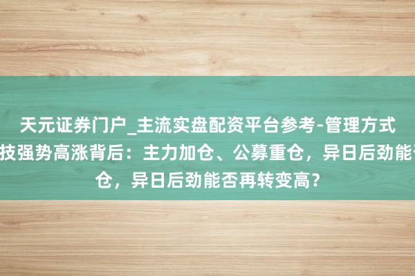 天元证券门户_主流实盘配资平台参考-管理方式说明 容百科技强势高涨背后：主力加仓、公募重仓，异日后劲能否再转变高？