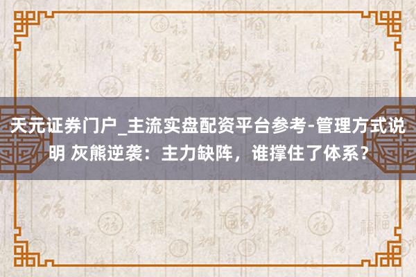天元证券门户_主流实盘配资平台参考-管理方式说明 灰熊逆袭：主力缺阵，谁撑住了体系？